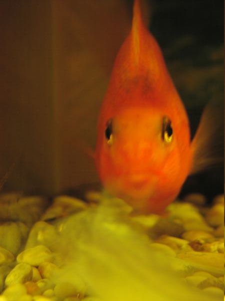 p1010070